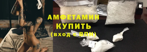 шишки Аркадак