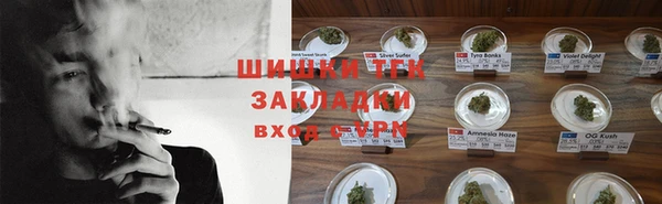 шишки Аркадак