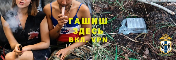 шишки Аркадак