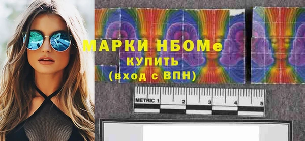 шишки Аркадак