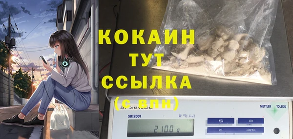 шишки Аркадак