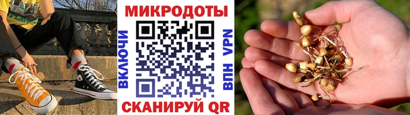 Галлюциногенные грибы ЛСД  Артёмовск 